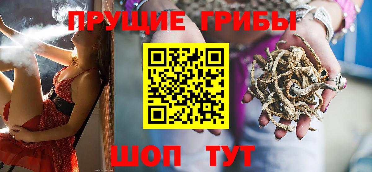 Псилоцибиновые грибы GOLDEN TEACHER Ахтубинск